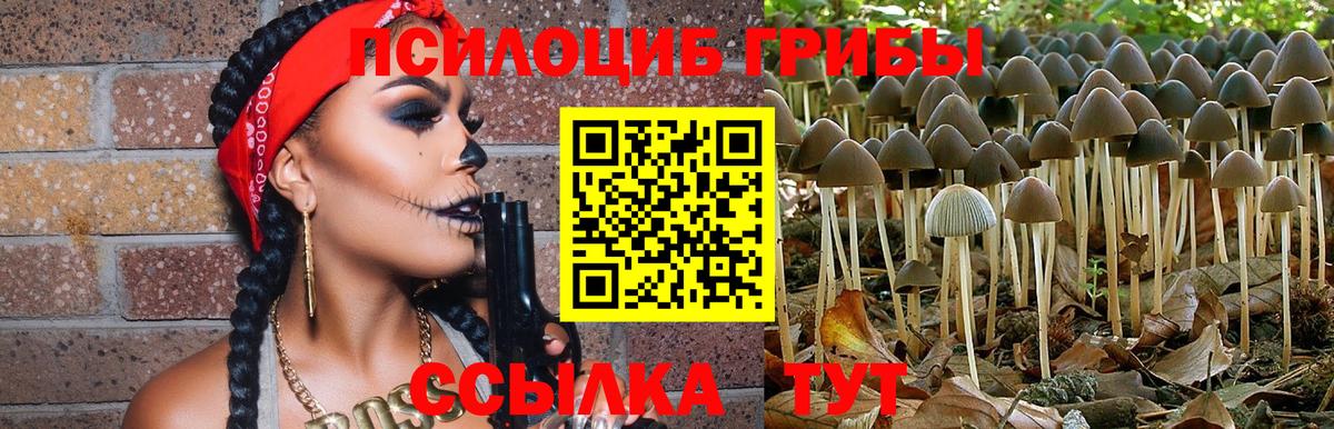 Галлюциногенные грибы мицелий  Псилоцибиновые грибы MAGIC MUSHROOMS  Людиново  Вход с VPN 
