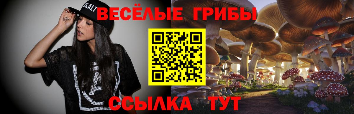 Псилоцибиновые грибы прущие грибы Людиново