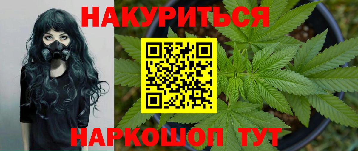 Конопля сатива Людиново
